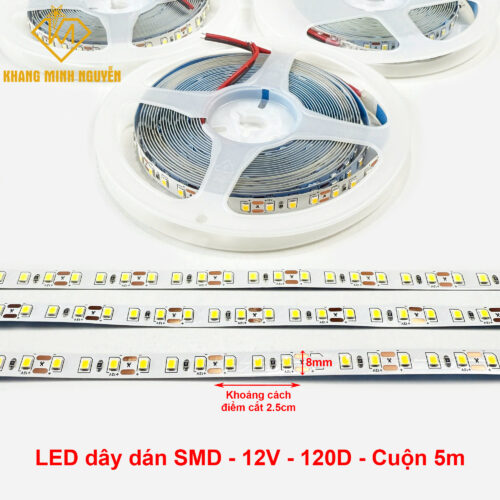 Đèn LED dây 12V 2835 SMD 120 mắt/mét - cuộn 5m
