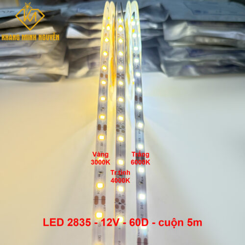 Đèn LED dây 12V 2835 SMD 60 mắt/mét - cuộn 5m