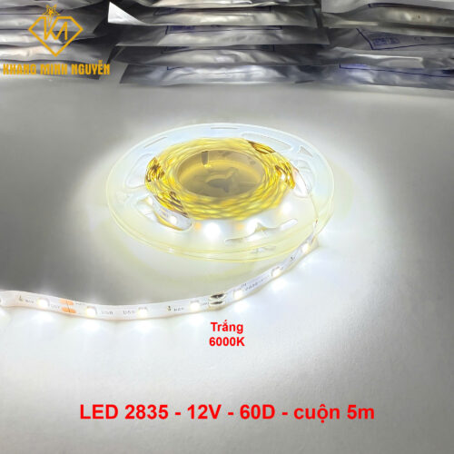 Đèn LED dây 12V 2835 SMD 60 mắt/mét - cuộn 5m - sáng sáng Trắng 6000K