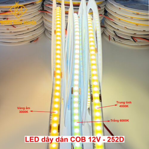 LED cuộn COB 12V 252 LED/m cuộn 5m - ánh sáng siêu mịn