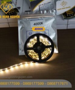 Đèn LED dây 12V 60 mắt - Ánh sáng trung tính 4000K