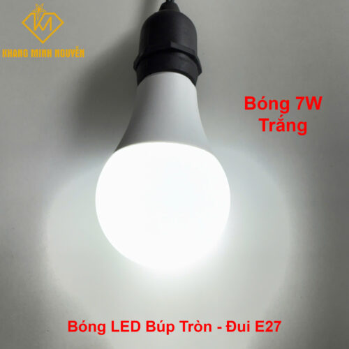 Bóng búp 7W - Trắng