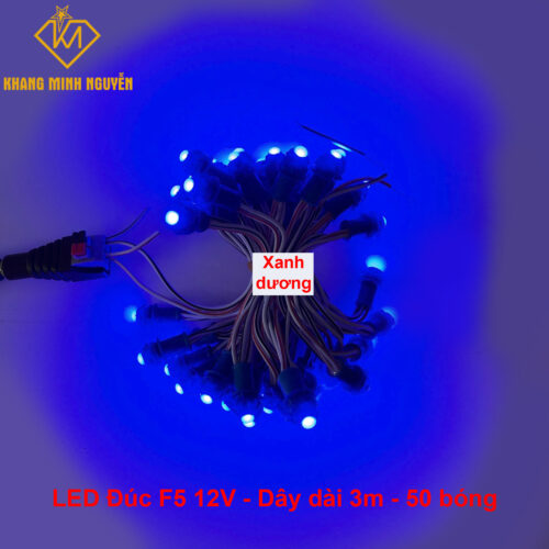 LED đúc F5 Xanh dương, đế 8mm - chống nước dùng quấn cây, trang trí lễ tết