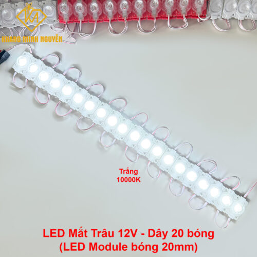 LED mắt trâu, LED module 20mm - 12V siêu sáng - màu trắng 10000K