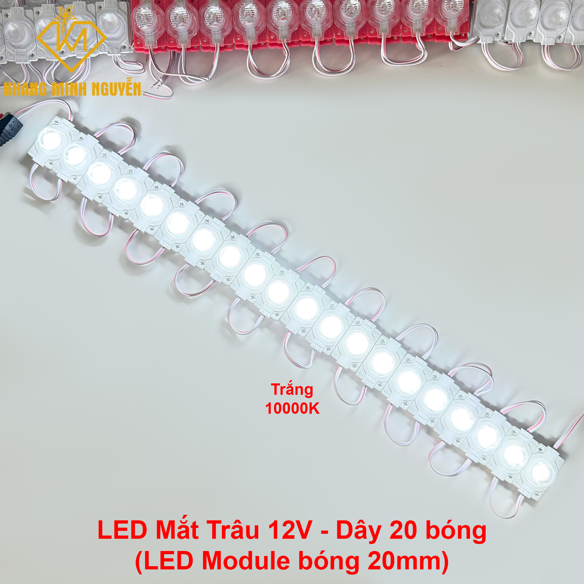 LED mắt trâu, LED module 20mm - 12V siêu sáng - màu trắng 10000K LED mắt trâu, LED module 20mm - 12V siêu sáng - màu trắng 10000K