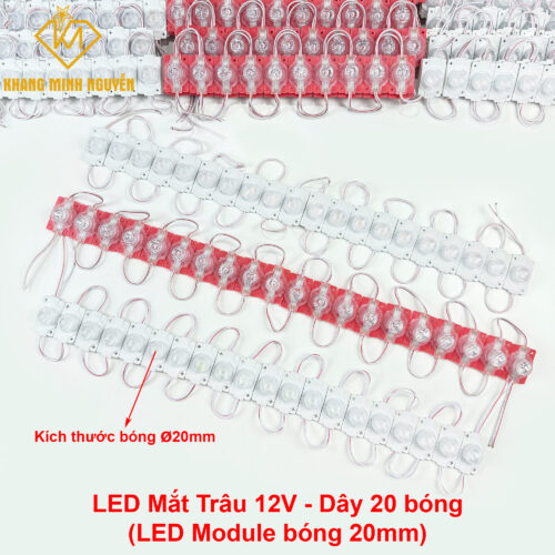LED mắt trâu, LED module 20mm - 12V siêu sáng