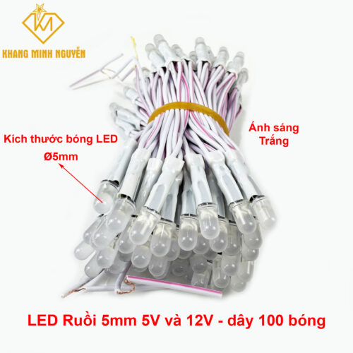 LED ruồi 5mm 5V và 12 V - chống nước làm bảng hiệu, hộp đèn, chạy chữ, trang trí cây - ánh sáng trắng