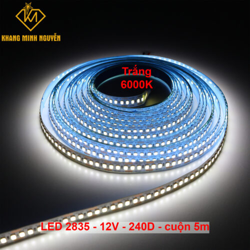 240 Led/mét - Đèn LED dây 2835 12V cuộn 5m - siêu sáng - trắng (6000k)