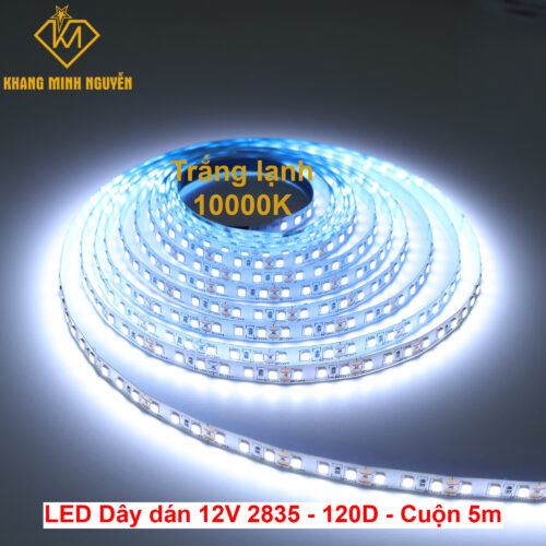 Đèn LED dây 12V 2835 SMD 120 mắt/mét - cuộn 5m - Trắng lạnh 10000K