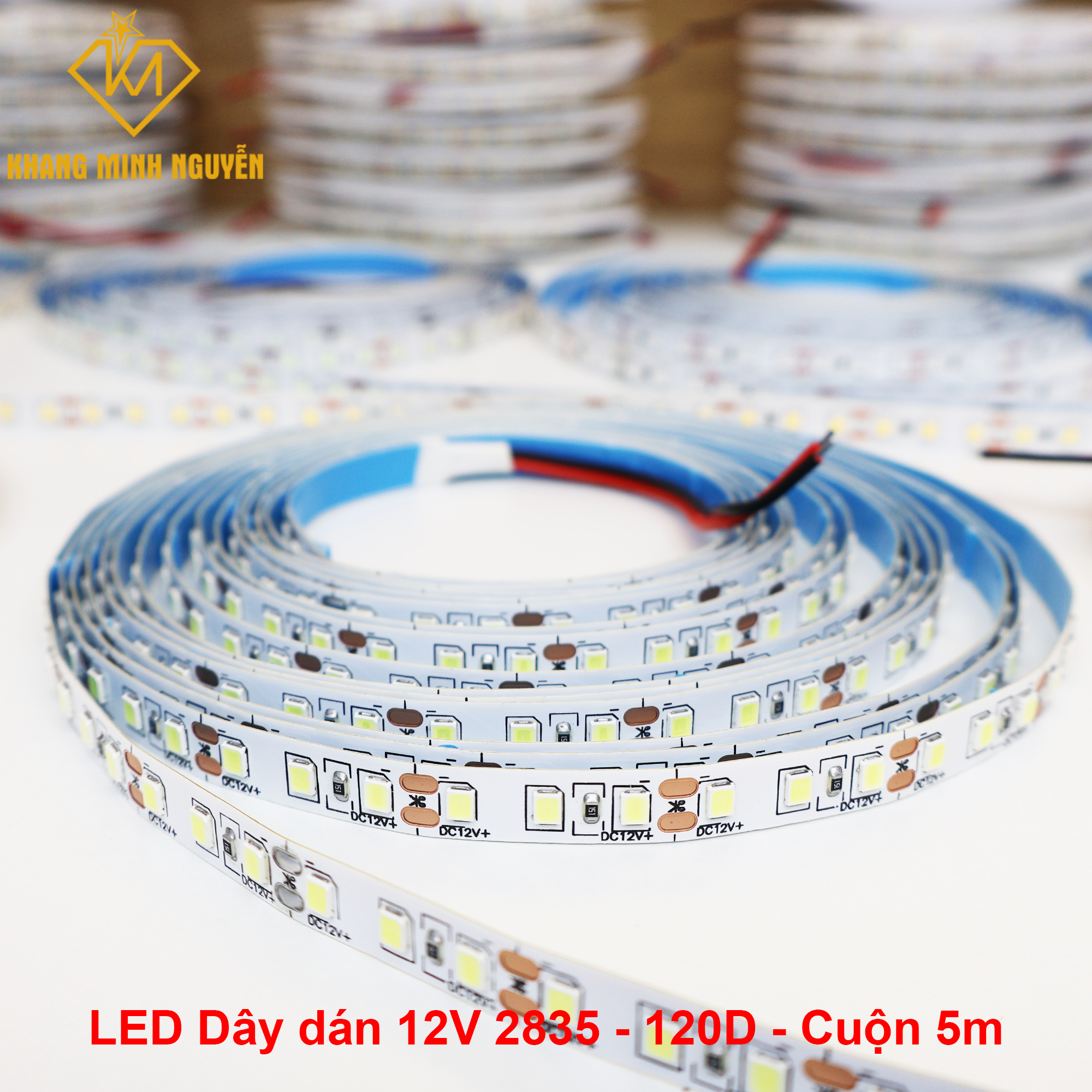 Đèn LED dây 12V 2835 SMD 120 mắt/mét - cuộn 5m Đèn LED dây 12V 2835 SMD 120 mắt/mét - cuộn 5m