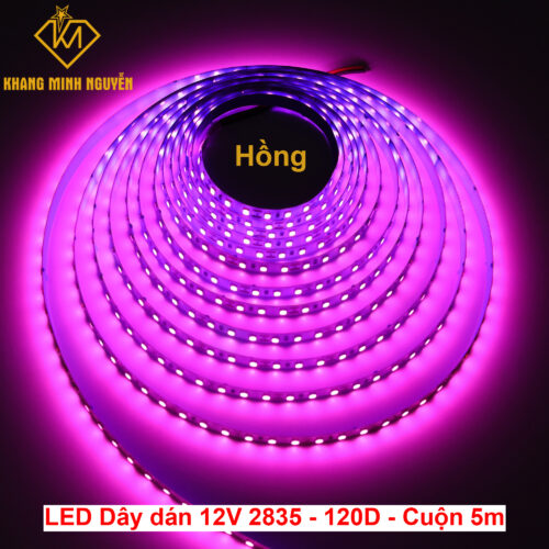 Đèn LED dây 12V 2835 SMD 120 mắt/mét - cuộn 5m - Hồng