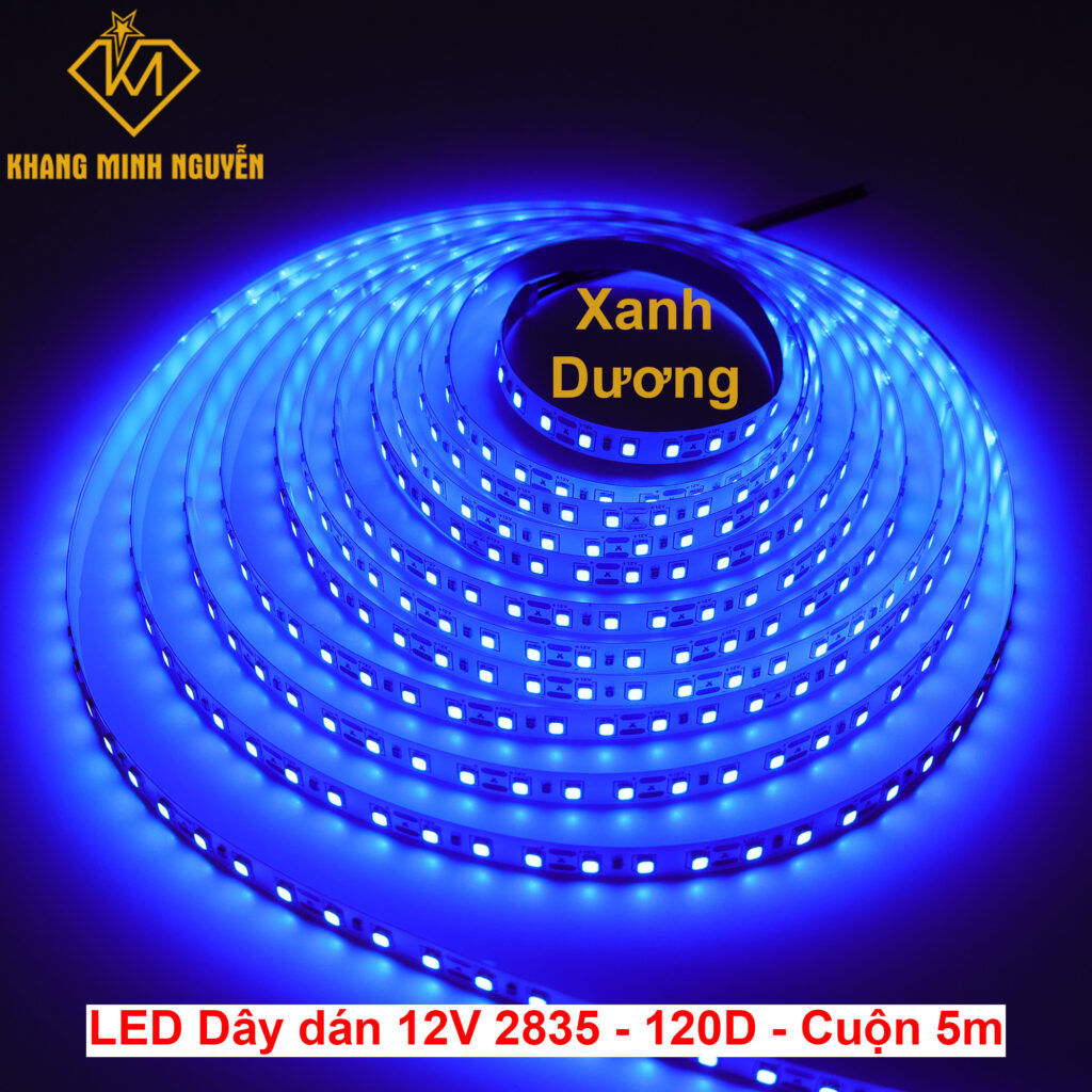 Đèn LED dây 12V 2835 SMD 120 mắt/mét - Trắng lạnh 10000K