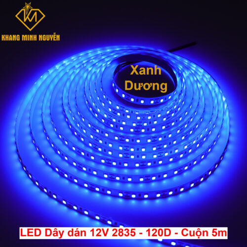 Đèn LED dây 12V 2835 SMD 120 mắt/mét - cuộn 5m - Xanh dương